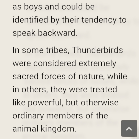 Native Am Thunderbird/Feather/Whip Charm Necklace - Picture 12 of 16